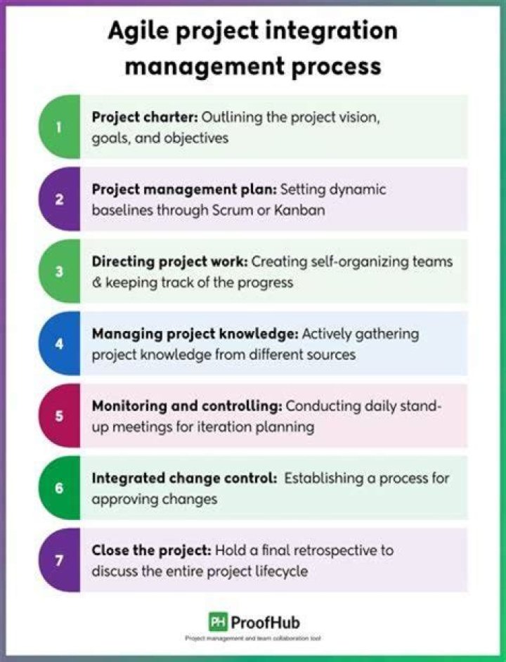 What are the important processes for project integration management?