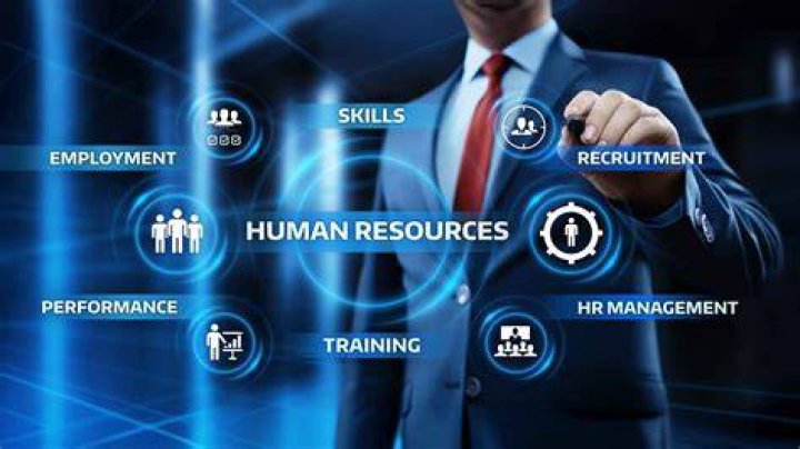 What are the key domains of human resource development?