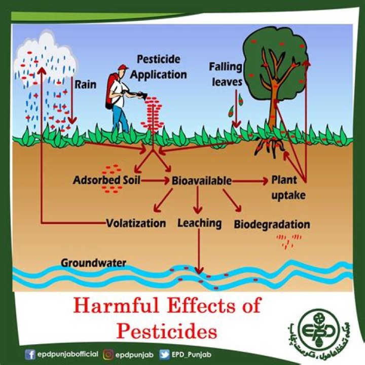 What are the methods of pesticide application?
