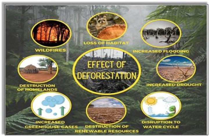 What are the negative effects of erosion?