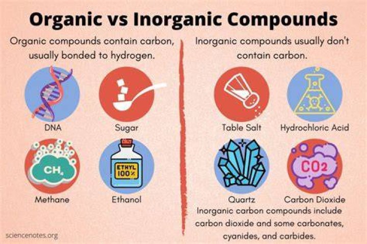 What are the organic and inorganic compound?