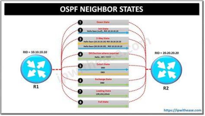 What are the OSPF neighbor states?