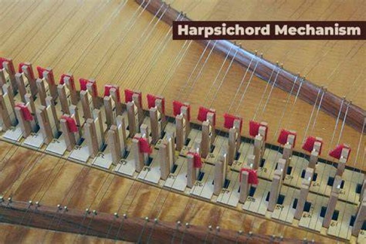 What are the parts of the harpsichord?