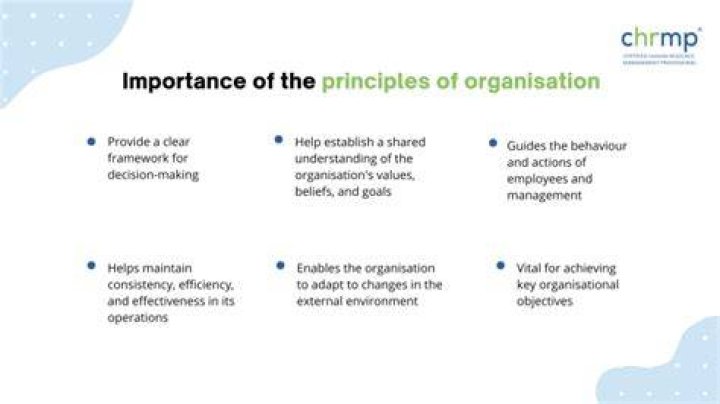 What are the principles of Organisation structure?