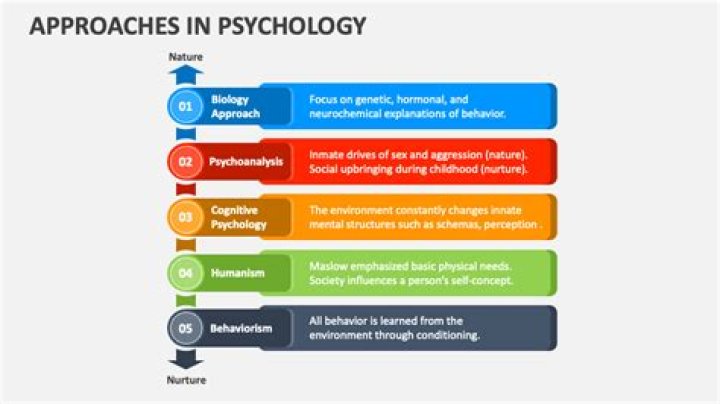 What are the psychological approaches in education?