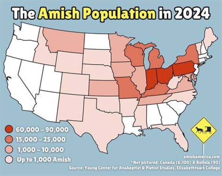 What are the rules of Amish?