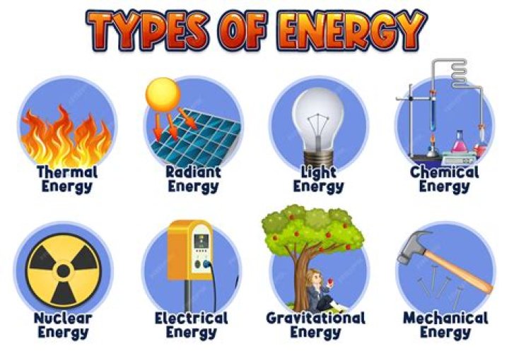 What are the sources of energy in the body?