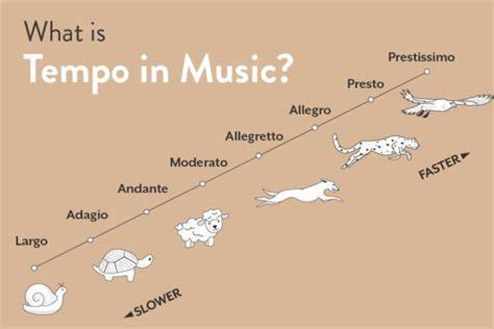 What are the tempos in music?