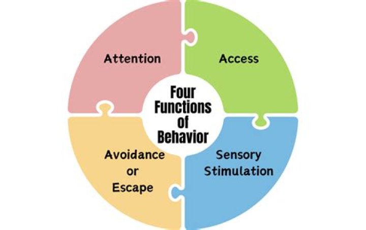 What are the two basic types of behavior in biology?