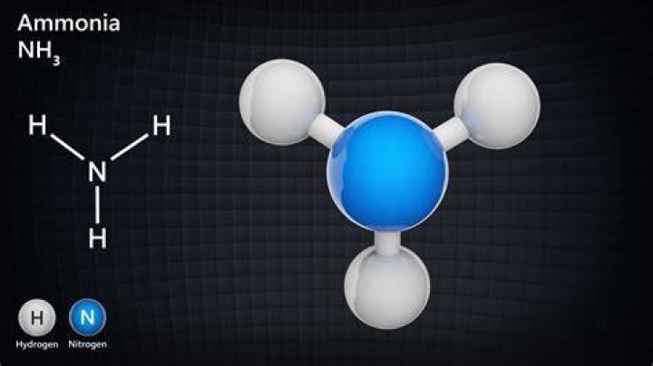 What are the two conjugates of ammonia?