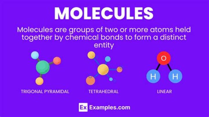 What are the types of molecules?