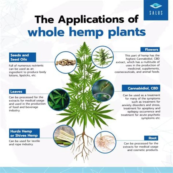 What are the uses of hemp?