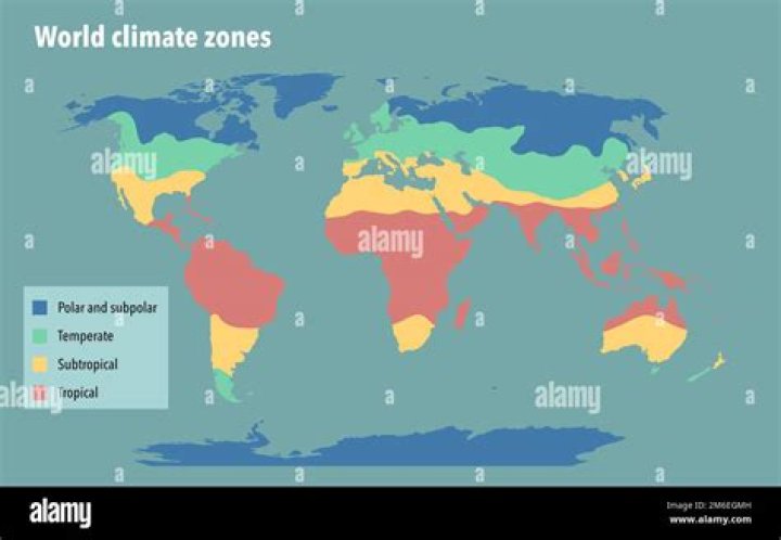 What are the world climate regions?