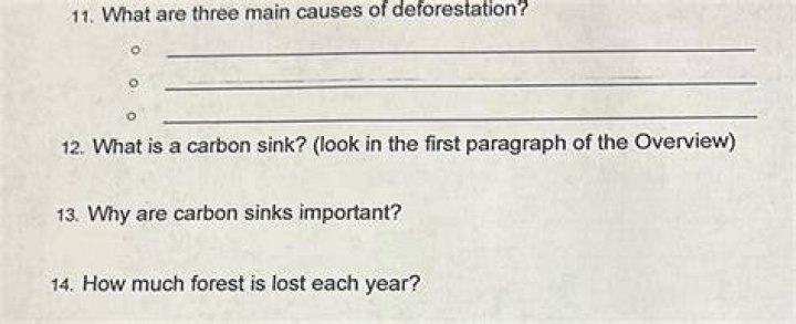 What are three main causes of deforestation?