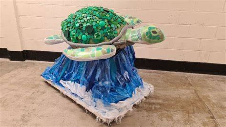 What are turtles made of?