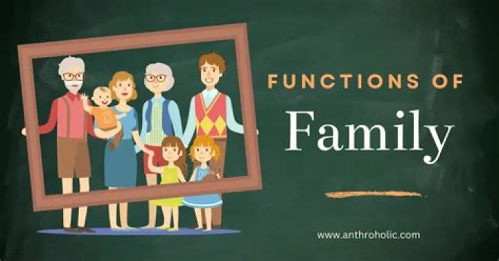 What are two main functions of families?