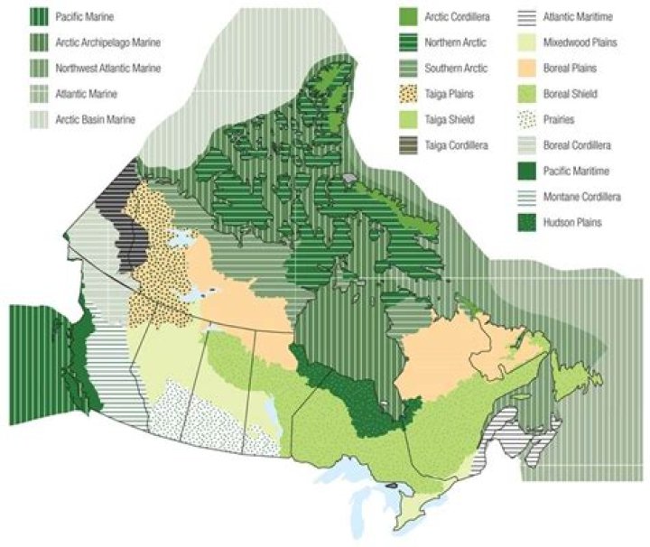 What biome is Toronto in?