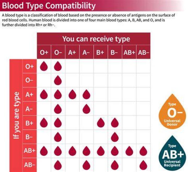 What blood type is considered the universal recipient AB+?