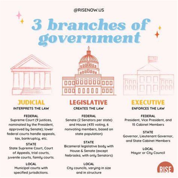 What branch of government signs or vetoes laws?