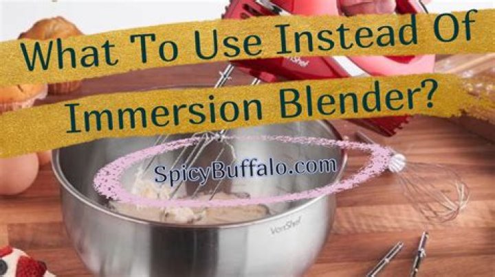 What can be used instead of an immersion blender?