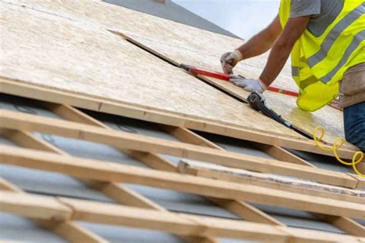 What can I build with plywood?