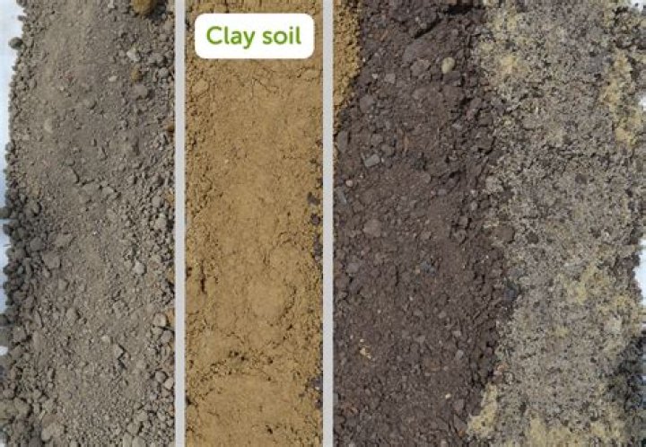 What can I mix with clay soil?