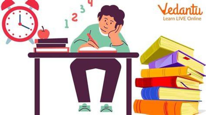 What can I study at MIT?