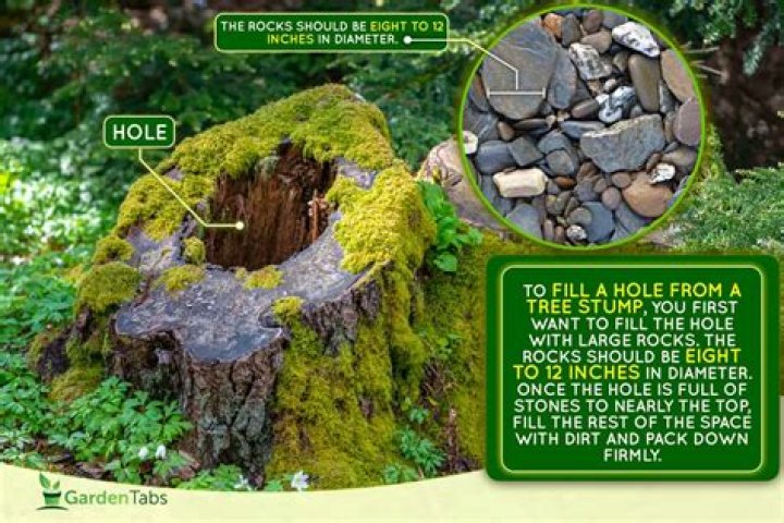 What can I use to fill a hole in a tree?