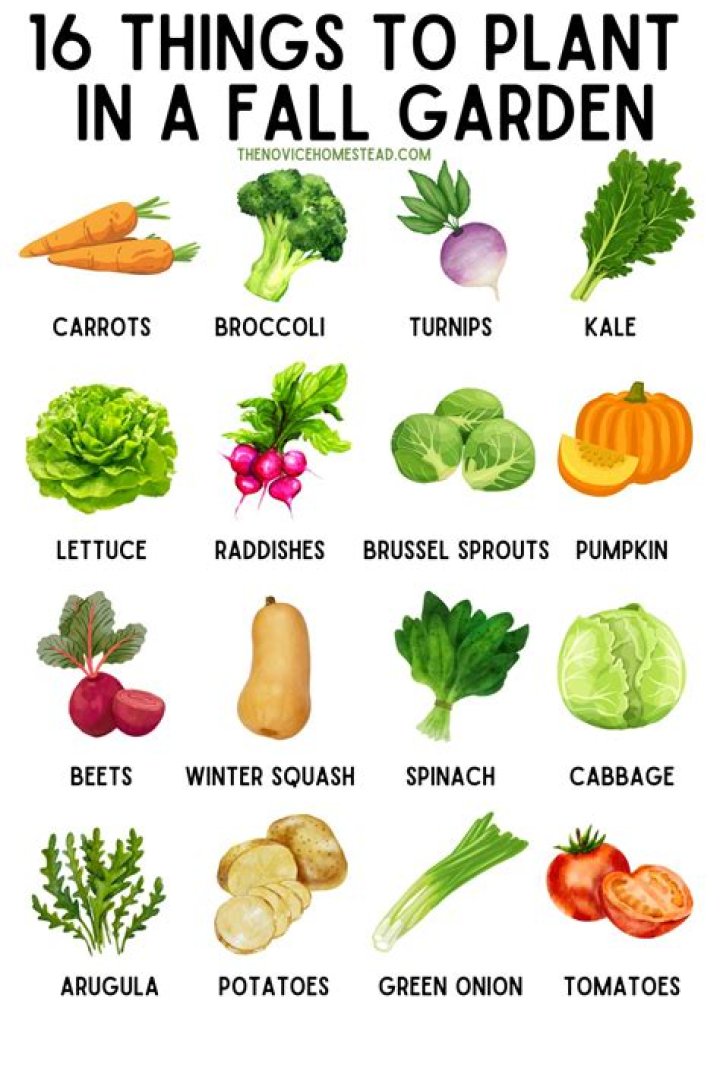 What can you plant in the fall in Alabama?