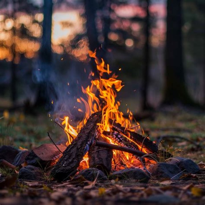 What can you use instead of firewood?