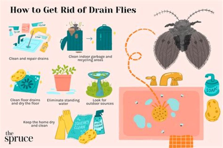 What can you use to keep black flies away?