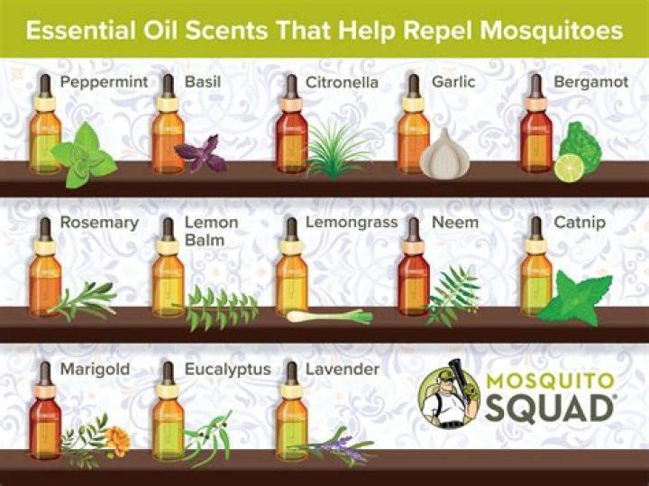 What candle scents keep mosquitoes away?