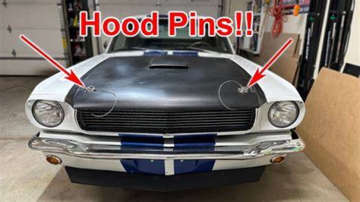 What car has a hood ornament?