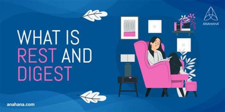 What causes rest and digest?