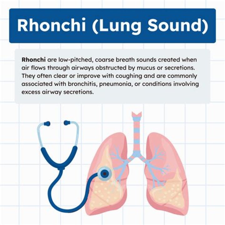 What causes Rhonchi in lungs?