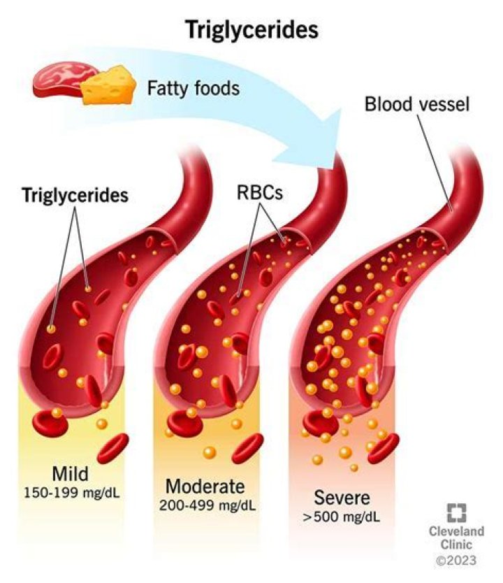 What causes triglycerides to increase?