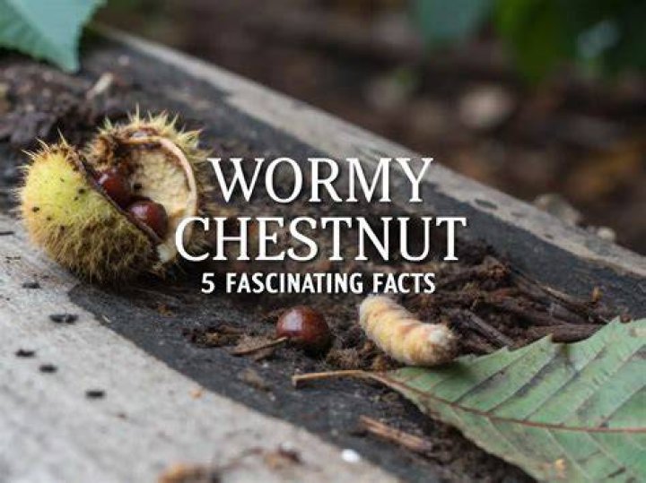 What causes wormy chestnut? | ContextResponse.com