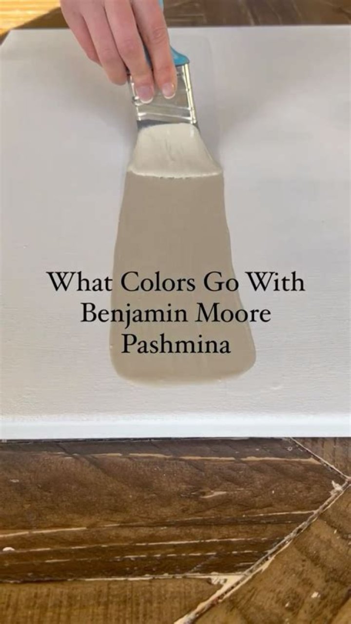 What colors go with Benjamin Moore pashmina?