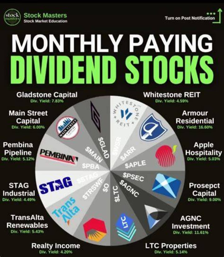 What companies give out dividends?