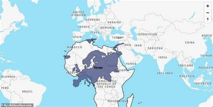 What countries is the UK bigger than?