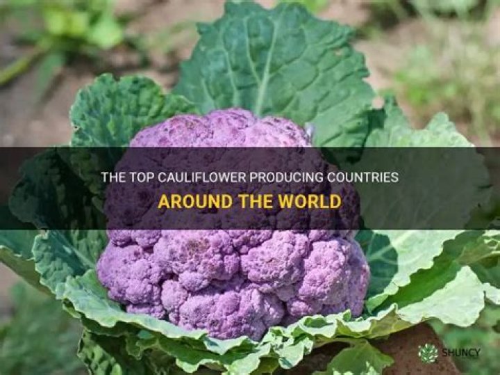 What country grows the most cauliflower?