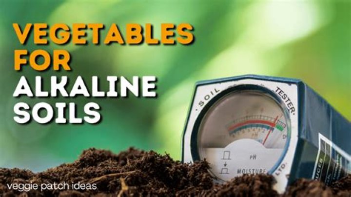 What crops grow well in alkaline soil?
