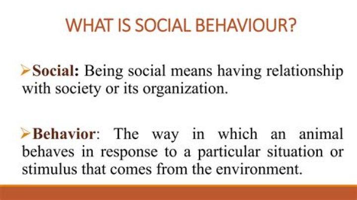 What defines social behavior?