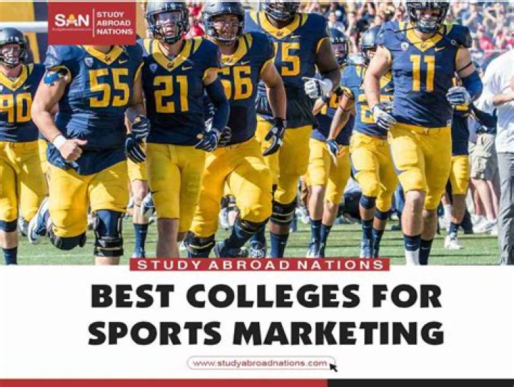What degree is needed for sports marketing?