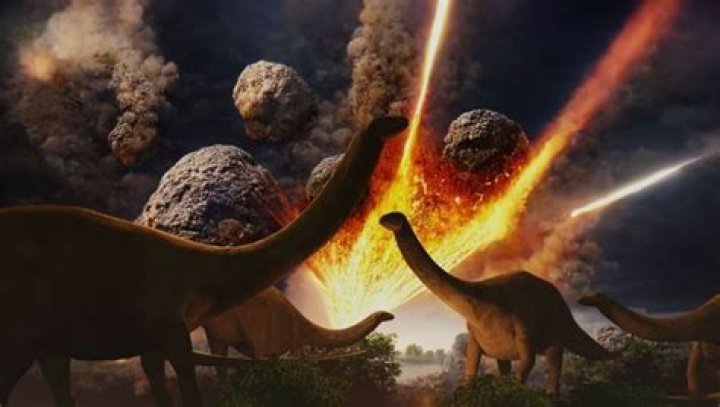 What did the asteroid do to the dinosaurs?