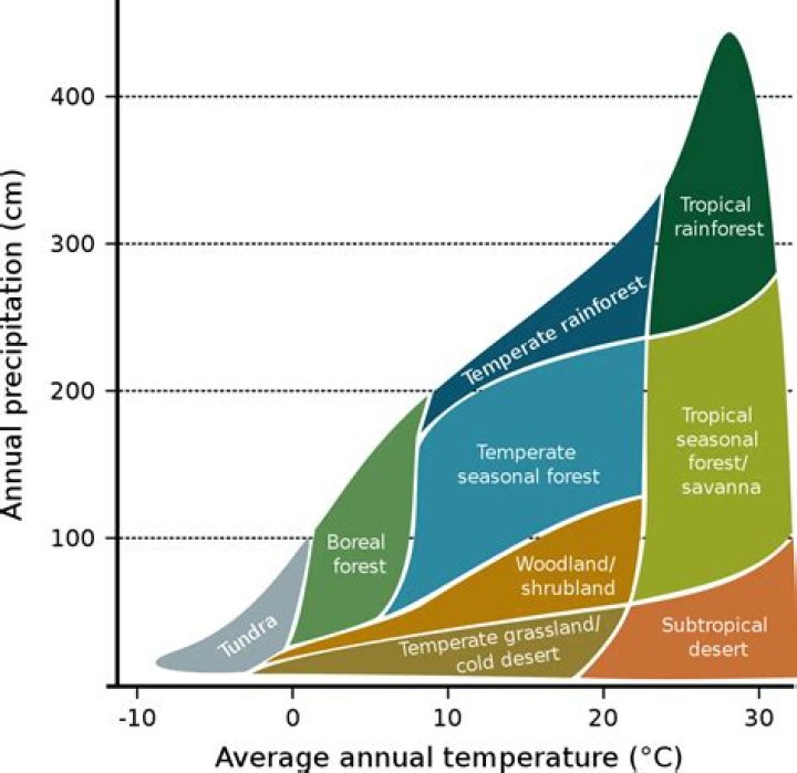 What do biomes with higher temperatures and less precipitation tend to have?