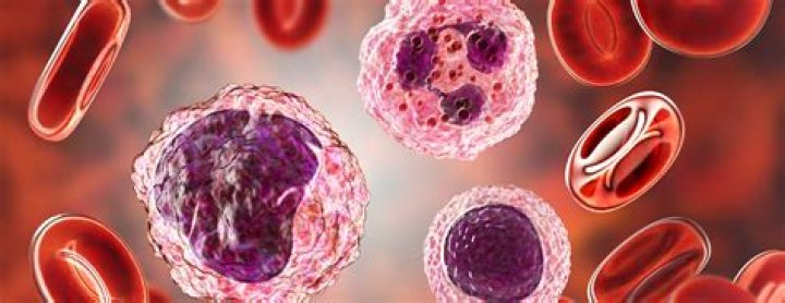 What do low lymphocytes mean?