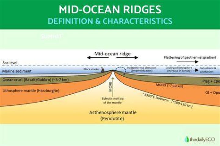 What do mid ocean ridges have?