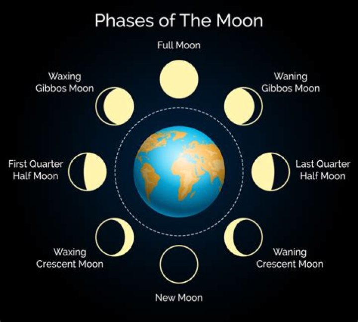 What do the phases of the moon mean?