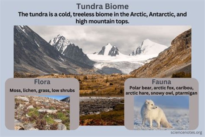 What do the rainforest and Tundra have in common?